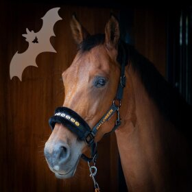 Harrys Horse - Halloween grime m. træktov