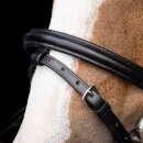 Imperial Riding - Shetty stormy bridle