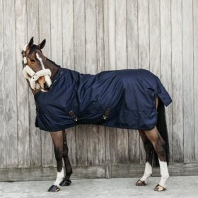 Kentucky horsewear - Turnout rug all weather pro 0G  - STR. 145