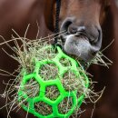 Waldhausen - Hay ball