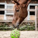 Waldhausen - Hay ball