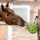 Waldhausen - Hay ball