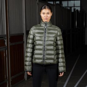 Kingsland - KLVam padded jacket