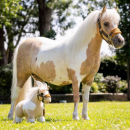 LeMieux - Mini toy pony Lemon