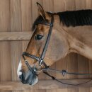 Dyon - Training bridle