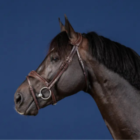 Dyon - Anatomic Flach noseband bridle US Collection